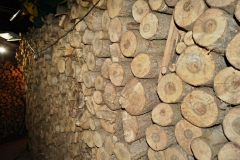 Osmileté dřevo
